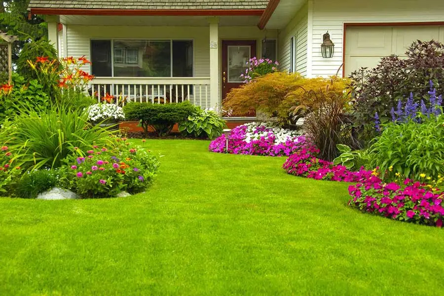 Garden Design